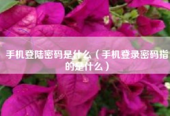 手机登陆密码是什么（手机登录密码指的是什么）