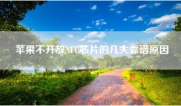 苹果不开放NFC芯片的几大靠谱原因