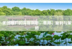 美团推广的深度剖析，费用、盈利与策略