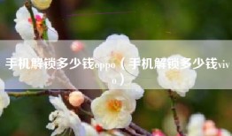 手机解锁多少钱oppo（手机解锁多少钱vivo）