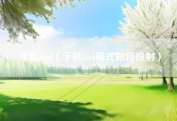 手机hud（手机hud模式如何投射）