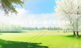 手机hud（手机hud模式如何投射）