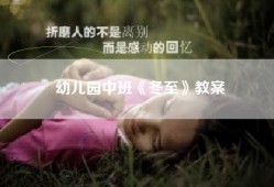幼儿园中班《冬至》教案