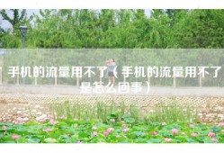 手机的流量用不了（手机的流量用不了是怎么回事）