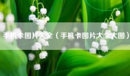 手机卡图片大全（手机卡图片大全大图）