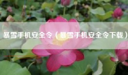 暴雪手机安全令（暴雪手机安全令下载）