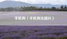 手机狗（手机狗头图片）