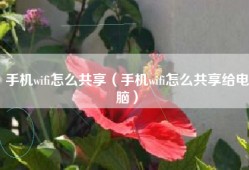 手机wifi怎么共享（手机wifi怎么共享给电脑）