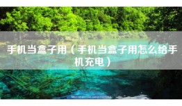 手机当盒子用（手机当盒子用怎么给手机充电）