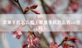苹果手机怎么看（苹果手机怎么看wifi密码）