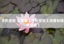 手机壁纸 主屏幕（手机壁纸主屏幕和锁屏壁纸）