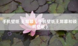 手机壁纸 主屏幕（手机壁纸主屏幕和锁屏壁纸）