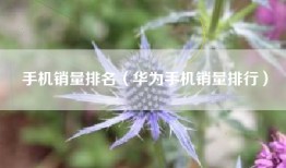 手机销量排名（华为手机销量排行）