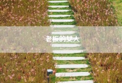 老板的女人