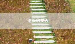 老板的女人
