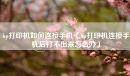 hp打印机如何连接手机（hp打印机连接手机后打不出来怎么办）