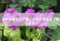 手机迅雷无法下载（手机迅雷无法下载云添加）
