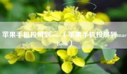 苹果手机投屏到mac（苹果手机投屏到macbook）