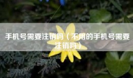 手机号需要注销吗（不用的手机号需要注销吗）