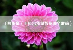 手机货量（手机出货量数据哪个准确）