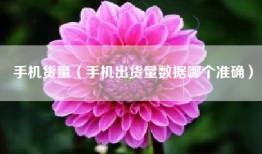 手机货量（手机出货量数据哪个准确）
