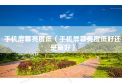 手机屏幕亮度低（手机屏幕亮度低好还是高好）