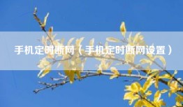 手机定时断网（手机定时断网设置）