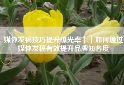媒体发稿技巧提升曝光率｜｜如何通过媒体发稿有效提升品牌知名度