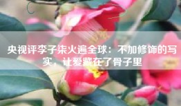 央视评李子柒火遍全球：不加修饰的写实，让爱藏在了骨子里