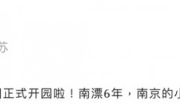 小米南京“买房”！雷军官宣