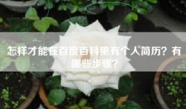 怎样才能在百度百科里有个人简历？有哪些步骤？