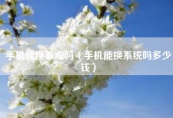 手机能换系统吗（手机能换系统吗多少钱）
