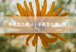 手机怎么截gif（手机怎么截gif图）