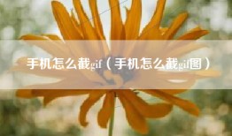 手机怎么截gif（手机怎么截gif图）