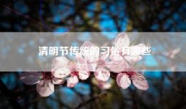 清明节传统的习俗有哪些