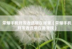 荣耀手机开发者选项在哪里（荣耀手机开发者选项在哪里找）