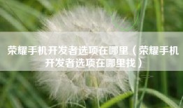 荣耀手机开发者选项在哪里（荣耀手机开发者选项在哪里找）