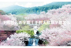 手机怎么弄字幕（手机大屏幕字幕怎么弄）