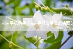 oppo 手机助手（oppo手机助手怎么唤醒）