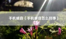 手机破音（手机破音怎么回事）
