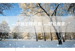 seo职员工作职责_seo职位要求