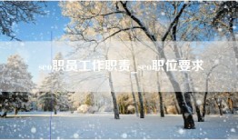 seo职员工作职责_seo职位要求