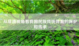 从非遗视角看我国民族传统体育的保护和传承