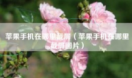 苹果手机在哪里截屏（苹果手机在哪里截屏图片）