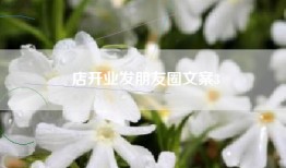店开业发朋友圈文案3