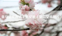 皇马壁纸高清手机壁纸（皇马壁纸图片）