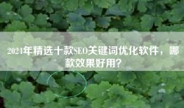 2024年精选十款SEO关键词优化软件，哪款效果好用？
