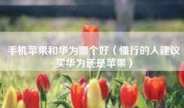 手机苹果和华为哪个好（懂行的人建议买华为还是苹果）