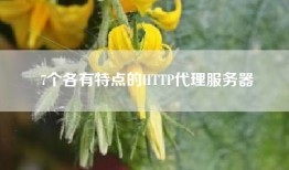 7个各有特点的HTTP代理服务器