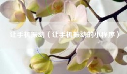 让手机振动（让手机振动的小程序）